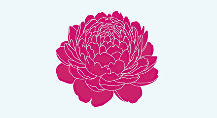 Obraz premium Vibrant Pink Peony Flower Illustration with White Outline on Light Blue Background