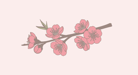 Obraz premium Delicate Pink Blossom Branch on Pastel Background