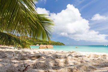 A tranquil tropical beach scene featuring palm fronds and soft white sand