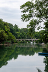 Fototapeta premium lake in the forest