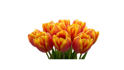 Orange and Yellow Tulip Bouquet