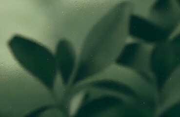 Soft Green Leaves Blur Background with Natural Light and Organic Mood