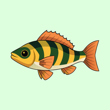 Cartoon image depicting a yellow perch fish swimming in a green background