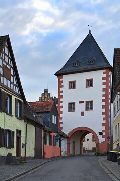 Gautor in Oppenheim