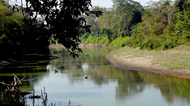 The Diffloo or Diphlu River which flows through the Kaziranga National Park in Assam