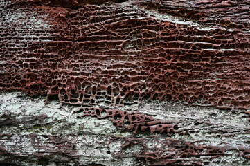 Buntsandstein bei Hauenstein
