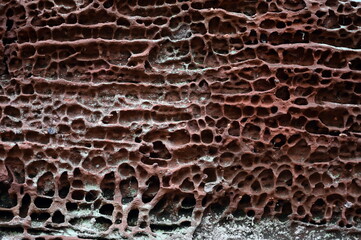 Buntsandstein bei Hauenstein