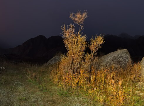 Russia. The South of Western Siberia, the Altai Mountains. Autumn moonlit night in the stone valley of the mountain river Katun near the village of Inia.