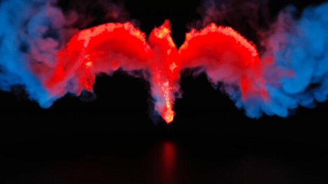 Dragon Flame Logo Unveil