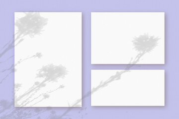Natural light casts shadows from wildflowers on horizontal and vertical sheets of white paper lying on a violet background. Mockup