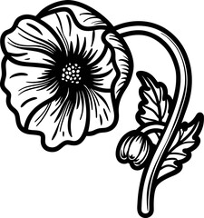Hand drawn poppy flower with stem and leaves in vintage engraved botanical illustration