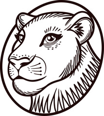Engraved lioness portrait in oval frame vintage hand drawn illustration of big cat face isolated on white background