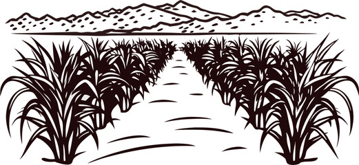 Hand drawn sugarcane plantation with mountain background vintage engraved rural agriculture landscape