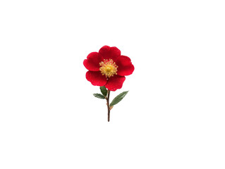 Obraz premium Red camellia flower with yellow stamen and green leaves, isolated on transparency background, symbolizing beauty and elegance, perfect for botanical and floral design concepts
