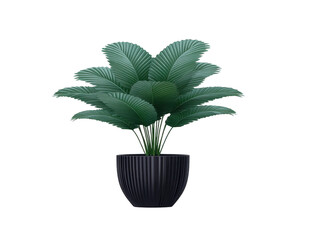 Obraz premium Potted tropical plant green leaves indoor decor modern black planter lush foliage home interior natural fresh calming stylish Potted tropical plant with lush green leaves modern black planter