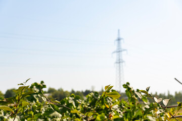 Green Meadow Under Clear Sky