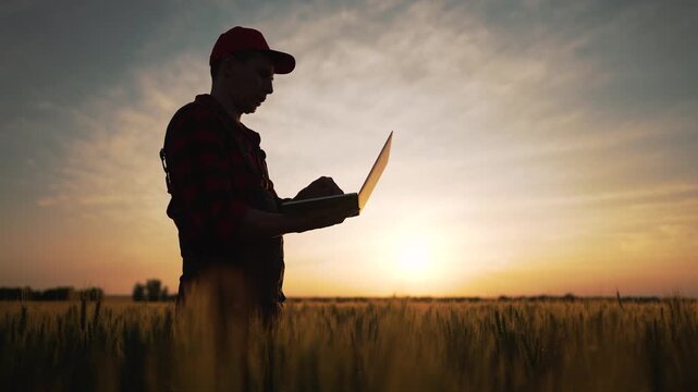 Farmer uses laptop in wheat field at sunset overseeing crop health and technology integration in agriculture with silhouette of rural farm worker checking data on laptop in golden light and yield