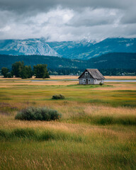 Obraz premium Isolated wooden cabin in wide green meadow beneath dramatic cloudy mountains