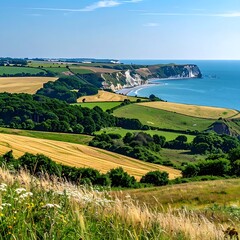 Naklejka premium Scenic coastal landscape with fields and cliffs under a blue sky, showcasing a serene natural environment