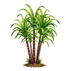 Fresh sugarcane plant illustration isolated on transparent background, traditional harvest festival symbol
