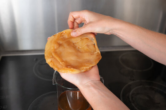 Female preparing homemade kombucha with scoby in kitchen