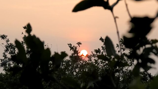 Sunset view from the hilly Parunthumpara, Idukki, Kerala, India