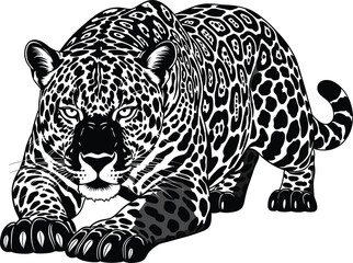 Fototapeta premium Fierce Black and White Jaguar in Hunting Stance, Detailed Vector Illustration of a Crouching Wild Cat with Spotted Fur and Intense Stare Graphic