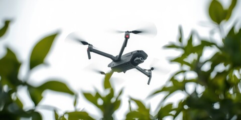 Drone flying over trees