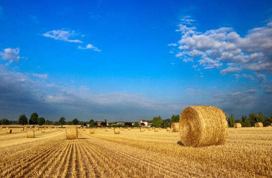 Le temps de la moisson 3