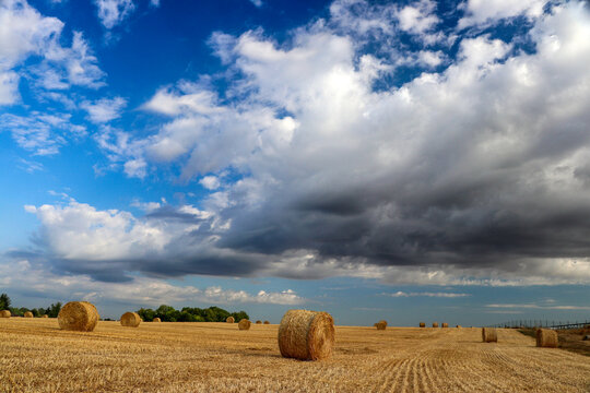 Le temps de la moisson 2