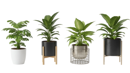 Collection of various potted plants with different pots and stands