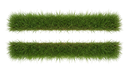 Green grass stripes isolated on white background