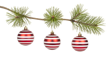Red and white striped christmas ornaments hanging on pine branch