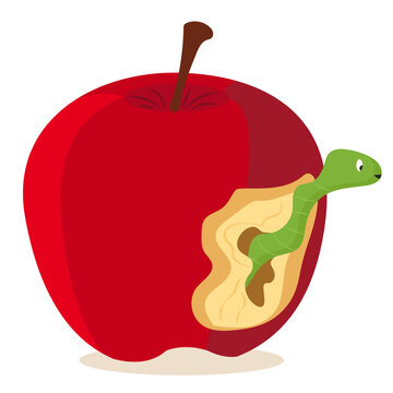 wormy apples, warm eaten an apple.