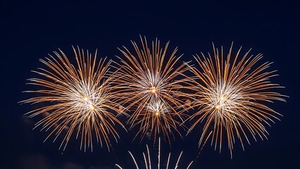 Vibrant fireworks explode in the night sky during a festive celebration viewed from below