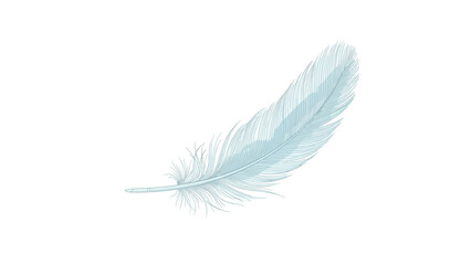 A delicate, light blue feather floats gracefully against a pure white background