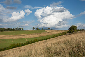 View over fields in summer with dramatic clouds, Hampshire, England, UK