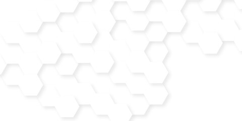 Abstract white grid presentation surface mosaic and tiles minimal tech bee website science element grid overlay white hexagon futuristic technology geometric texture background.