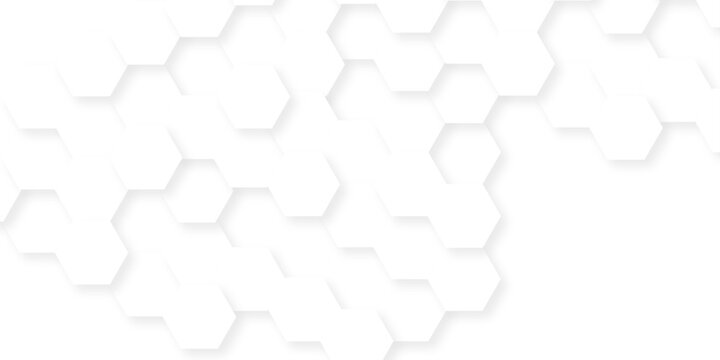 Abstract white grid presentation surface mosaic and tiles minimal tech bee website science element grid overlay white hexagon futuristic technology geometric texture background.