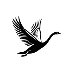 Obraz premium Black swan in flight silhouette of a graceful bird against a white background