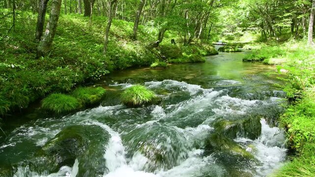 栃木県日光市　奥日光の戦場ヶ原を流れる湯川	