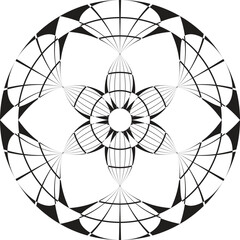 black and white abstract flower