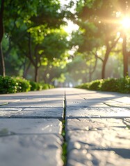 Paved pathway lined with leafy trees bathed in sunlight, creating a warm, inviting, and peaceful atmosphere