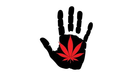Hand holding cannabis leaf