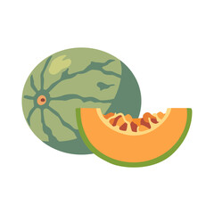 Cantaloupe melon with orange wedge slice, fruit icon, isolated flat style vector illustration