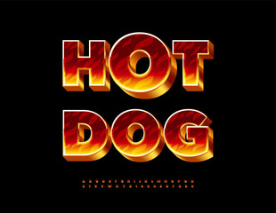 Vector Burning banner Hot Dog. Flaming 3D Font. Fire Pattern Alphabet Letters and Numbers set