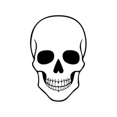 Fototapeta premium Human Skull Anatomy Outline Black and White Illustration for Science or Halloween Themed Design