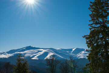 Sunny winter mountain landscape with snow-covered peaks, evergreen forest and clear blue sky, showcasing pristine alpine nature, cold season scenery and peaceful wilderness environment
