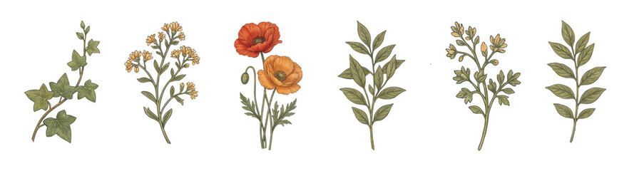 Fall Floral Clipart collection, Orange Red Gold Autumn Leaves & Flowers, Hand Drawn Botanical PNG Set