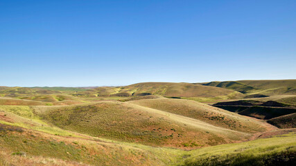 Obraz premium Undulating Grassland Hills Beneath a Clear Blue Horizon